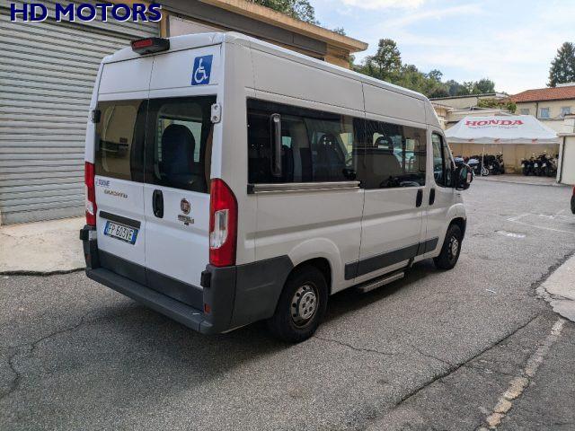 FIAT Ducato 33 2.3 MJT 150CV PM-TM trasporto disabili