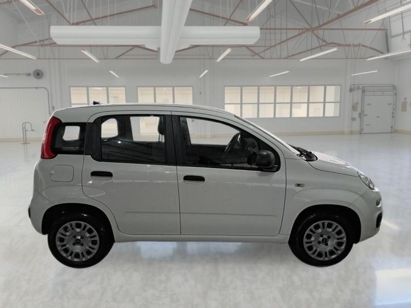 FIAT PANDA 1.2 69 CV SES E6D-TEMP EASY 5 PORTE BERLINA