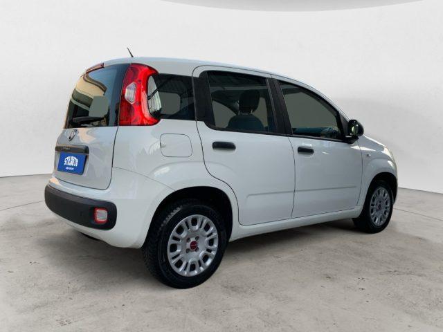 FIAT Panda 1.2 Easy NEOPATENTATI