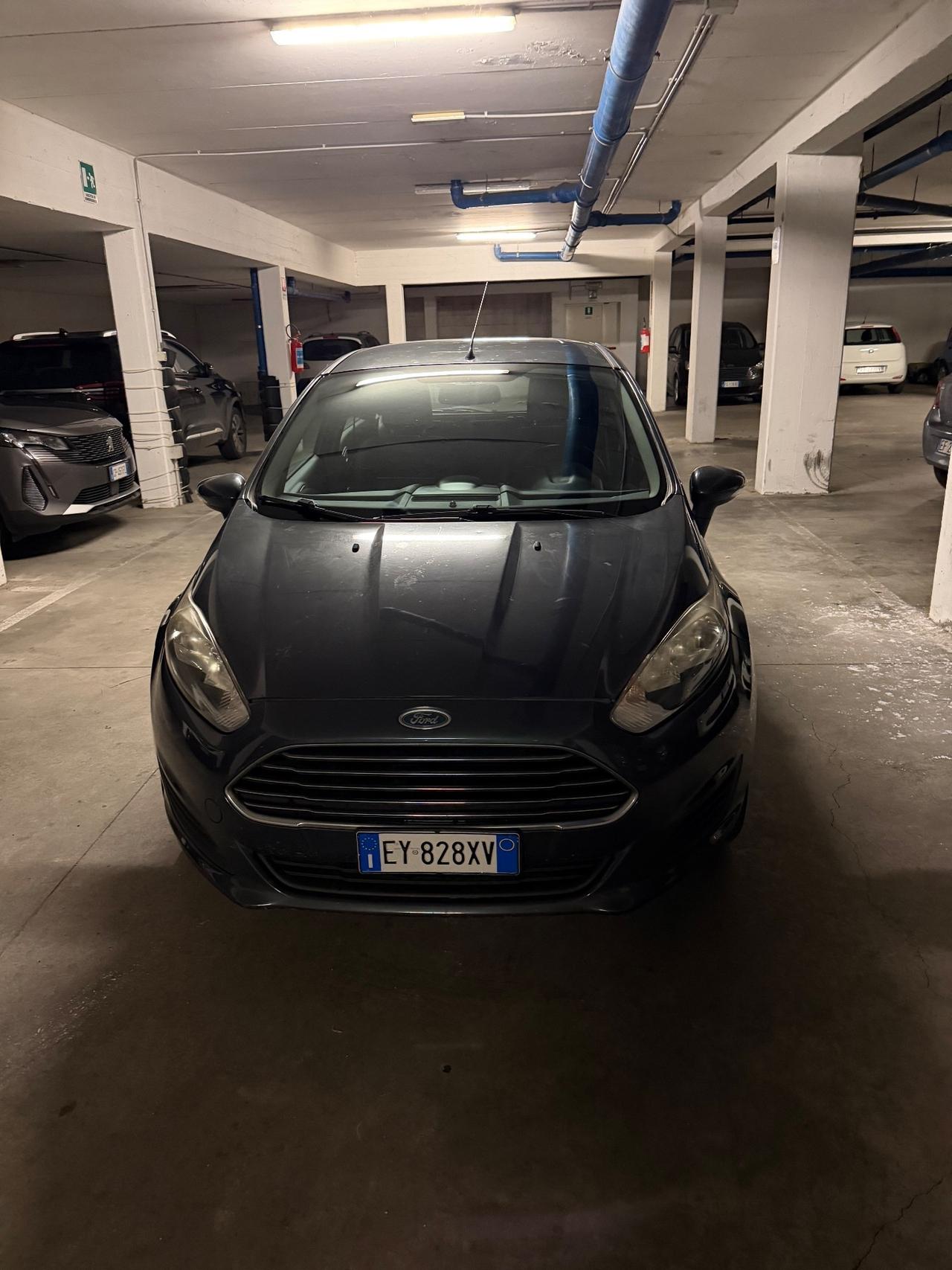 Ford Fiesta 1.2 60CV 5 porte Black & White Edition