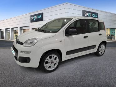 FIAT Panda 1.2 69cv E6 Easy