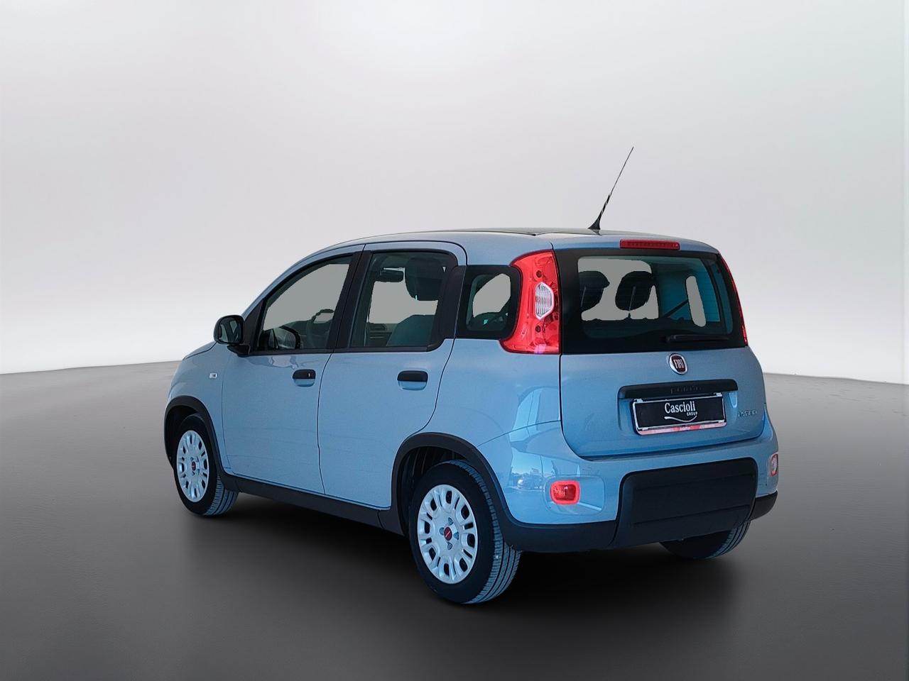 FIAT Panda III 2021 - Panda 1.0 firefly hybrid s&s 70cv