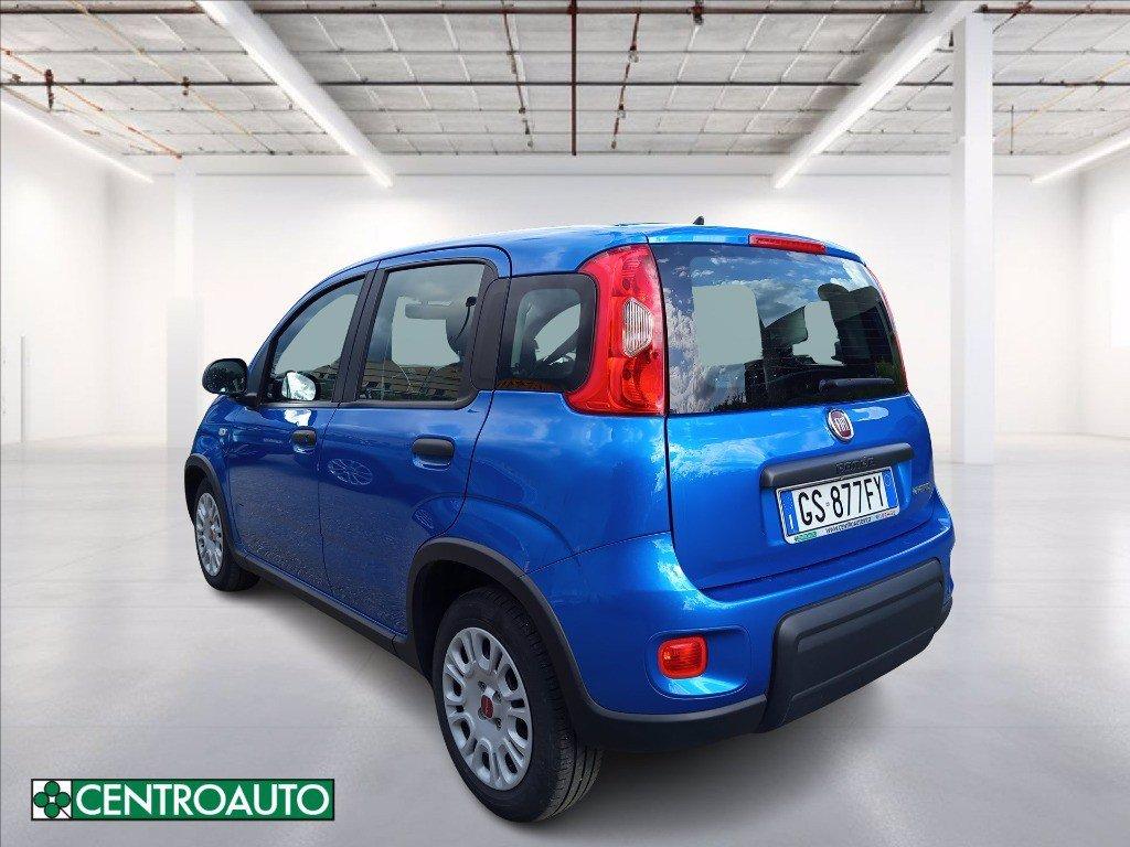 FIAT Panda 1.0 firefly hybrid s&s 70cv del 2024