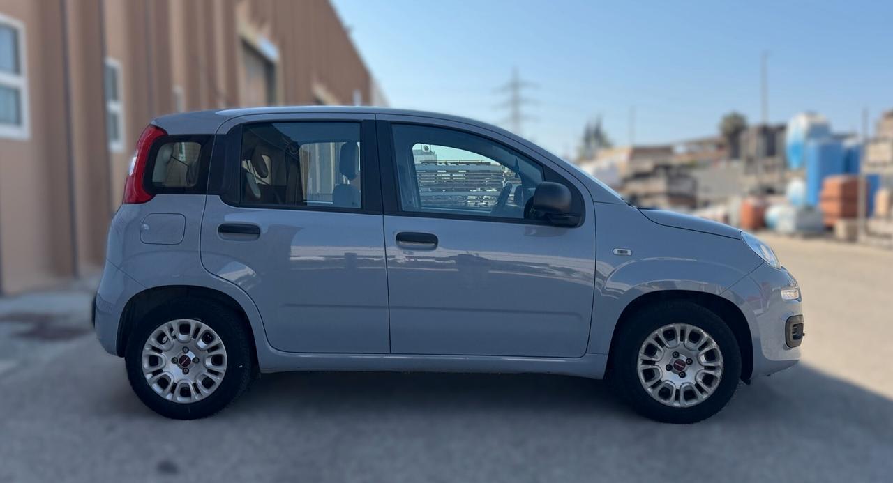 Fiat Panda 1.2 69CV NEOPATENTATI - 2019