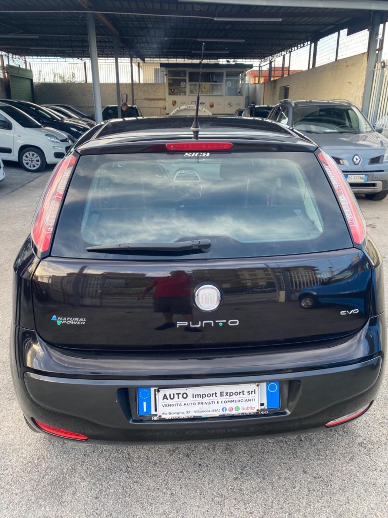 Fiat Punto Evo Benzina/Gas 2011 TAGLIANDATA