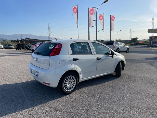 FIAT Punto 1.2 8V 5 porte Street