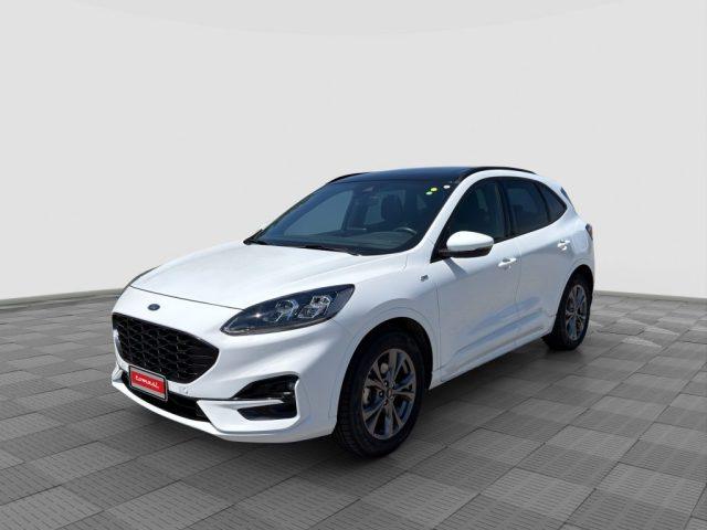 FORD Kuga Kuga 1.5 EcoBlue 120 CV aut. 2WD ST-Line