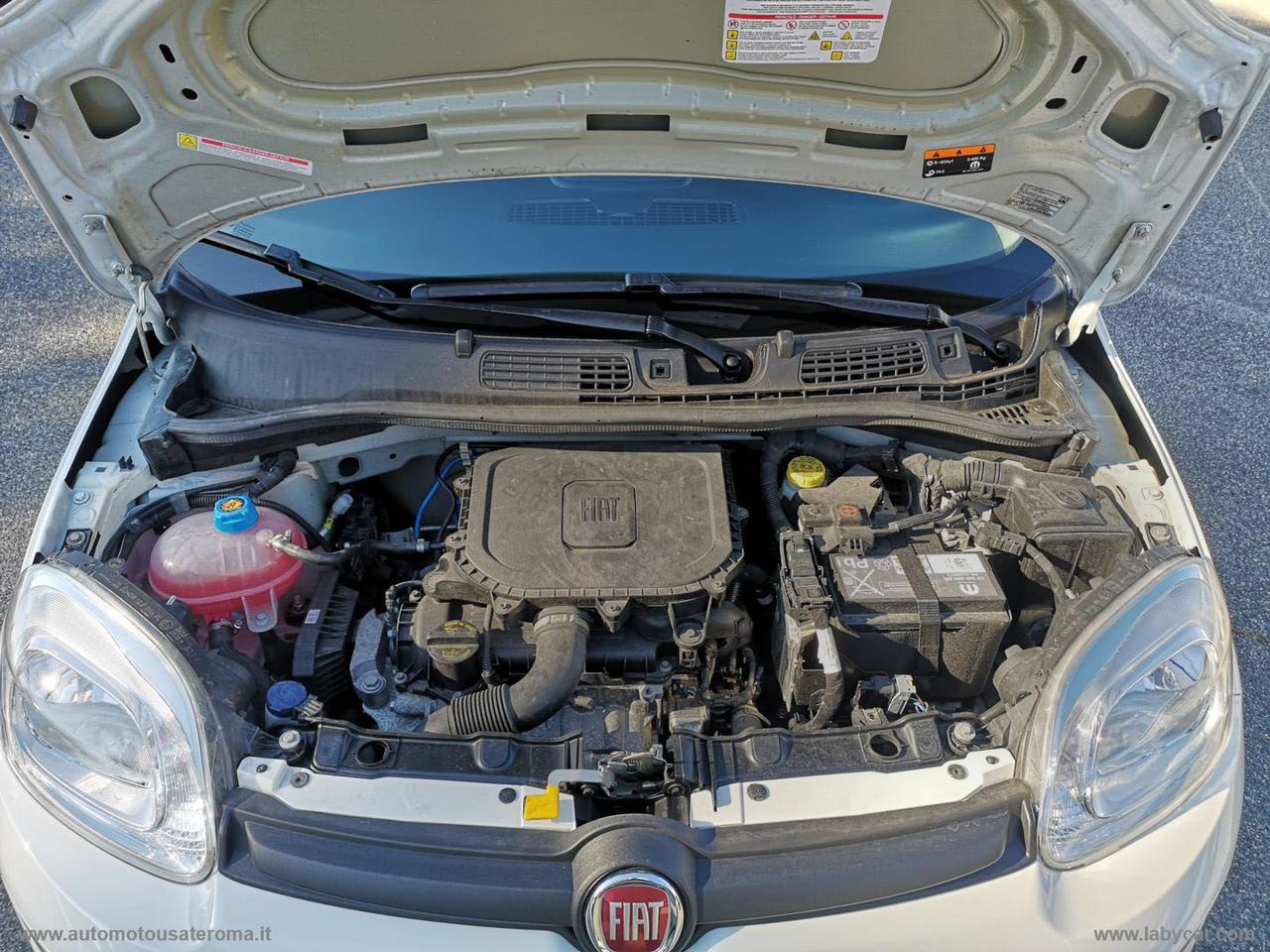FIAT Panda 1.0 FireFly S&S Hybrid PROMO WEB