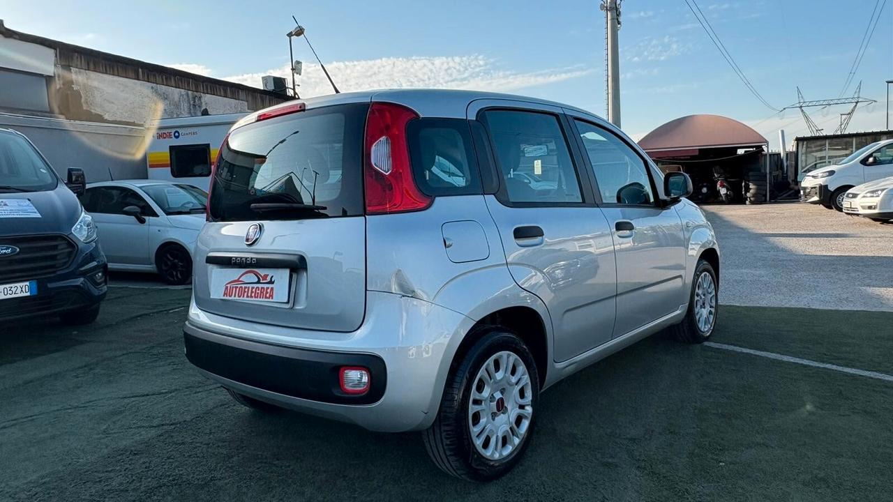 Fiat Panda 1.2 312PXA1A | BENZINA|169A4000 CC 1242 CV 69 KW 51 BERLINA, 5 P. (92816