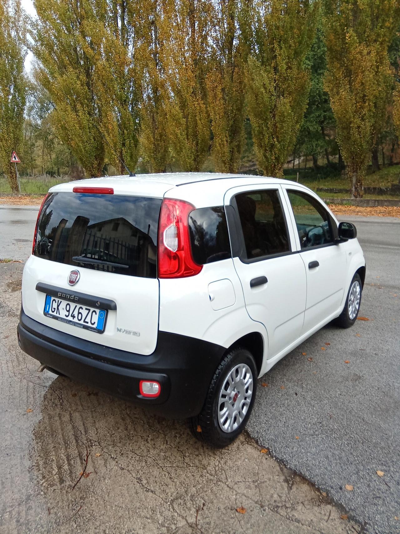Fiat Panda 1.0 Hybrid Pop Van 2 posti 022