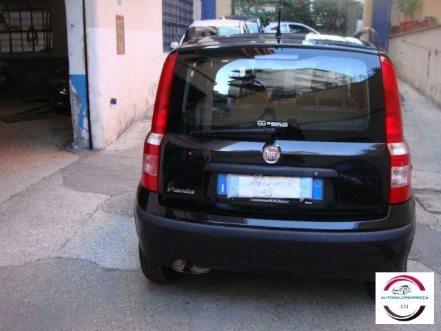 FIAT - Panda - 1.2 Dynamic