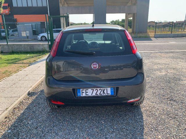 FIAT Punto 1.2 8V 5 porte Young