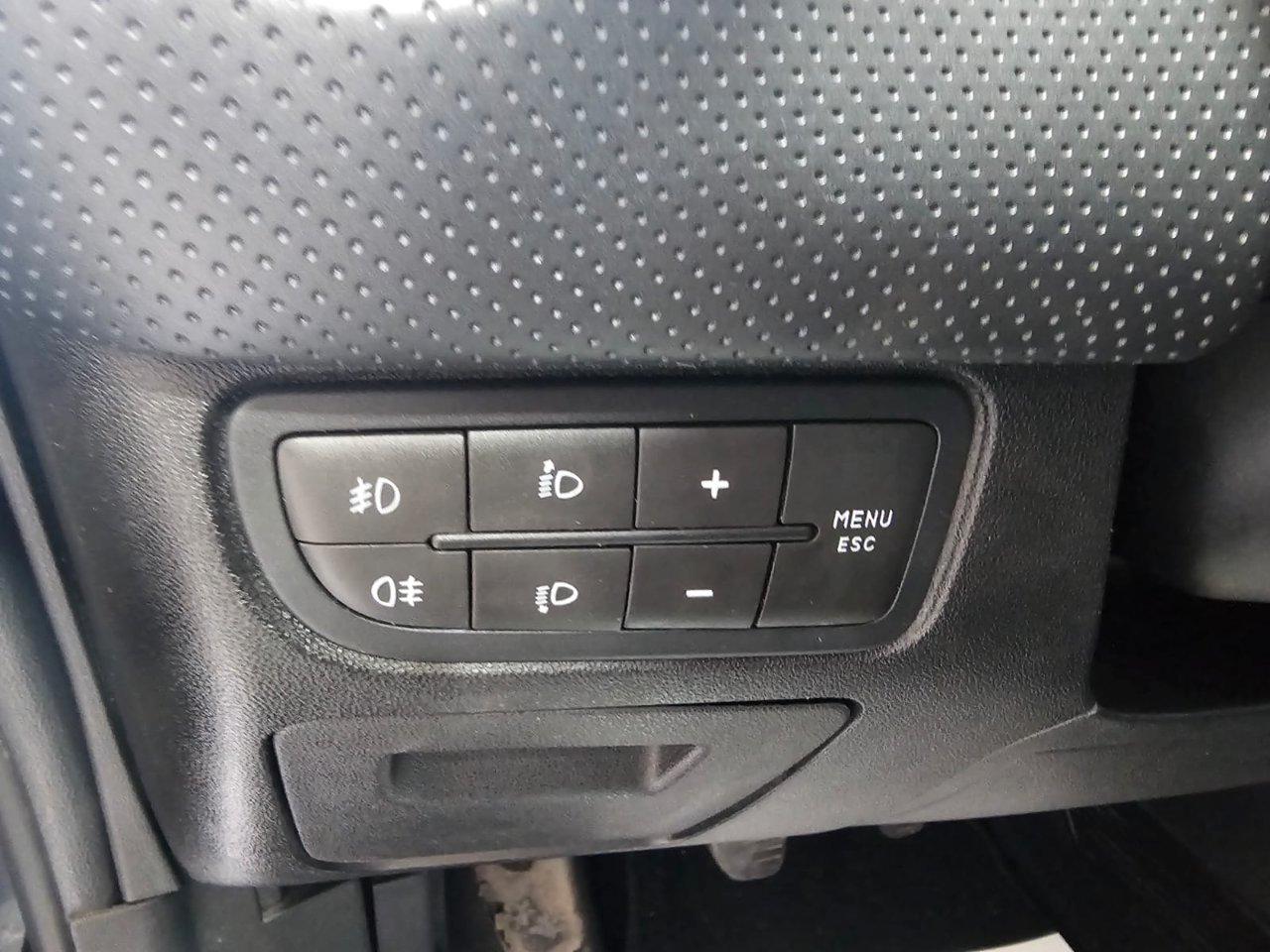 Fiat Punto Evo 5 Porte Punto Evo 5p 1.3 mjt Emotion s&s 95cv