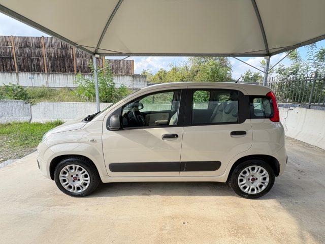 FIAT Panda 1.2 Lounge 5 POSTI EURO 6 OK NEOPATENTATI