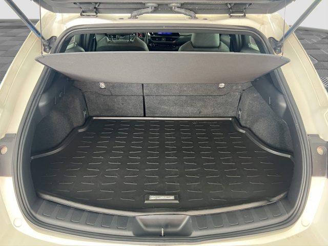 LEXUS Other UX UX Hybrid Urban