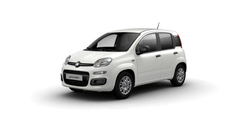 FIAT Panda Panda 1.0 S&S Hybrid Van 2 posti