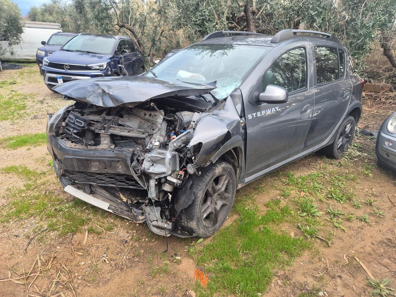 Dacia Sandero Stepway 1.5 dCi 8V 90CV Start&Stop