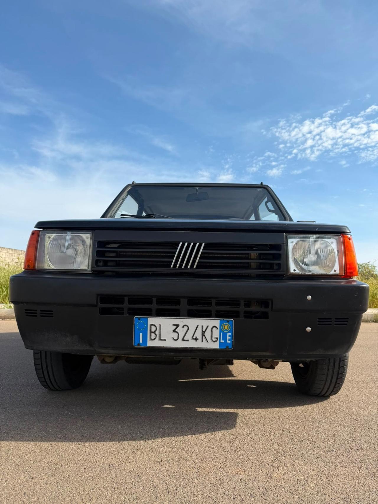 Fiat Panda 900 i.e. cat Young