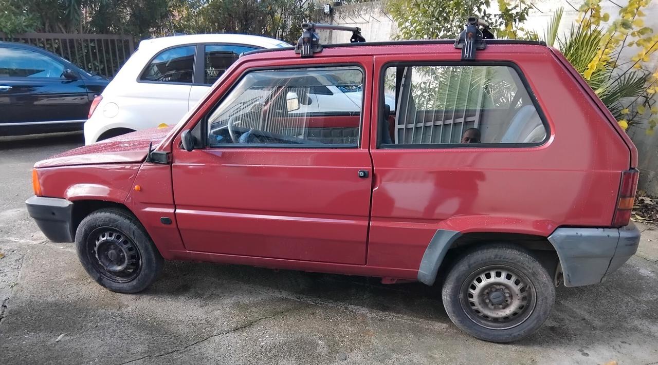 Fiat Panda 1100 i.e. cat Young