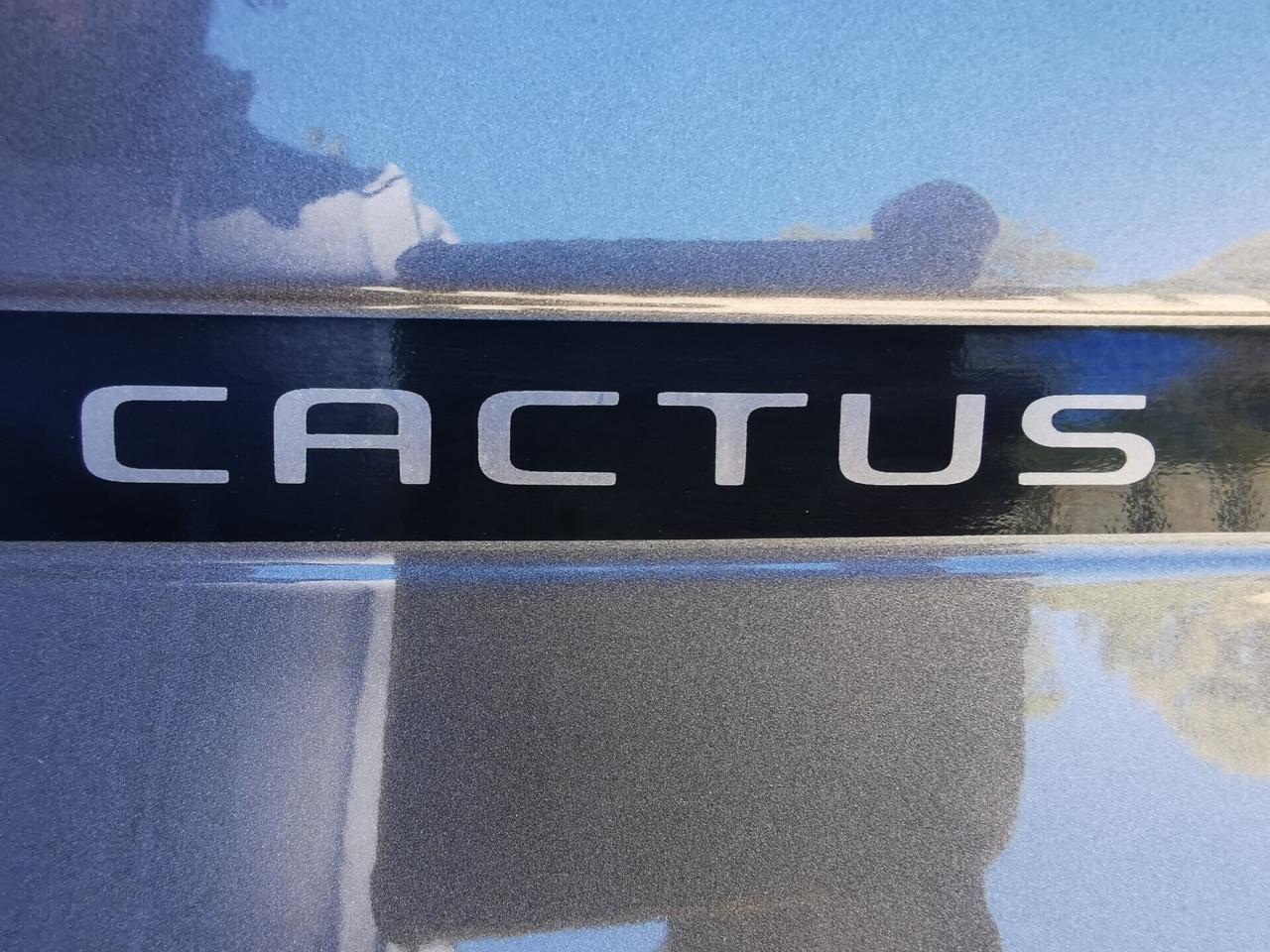 Citroen C4 Cactus BlueHDi 100 S&S Shine