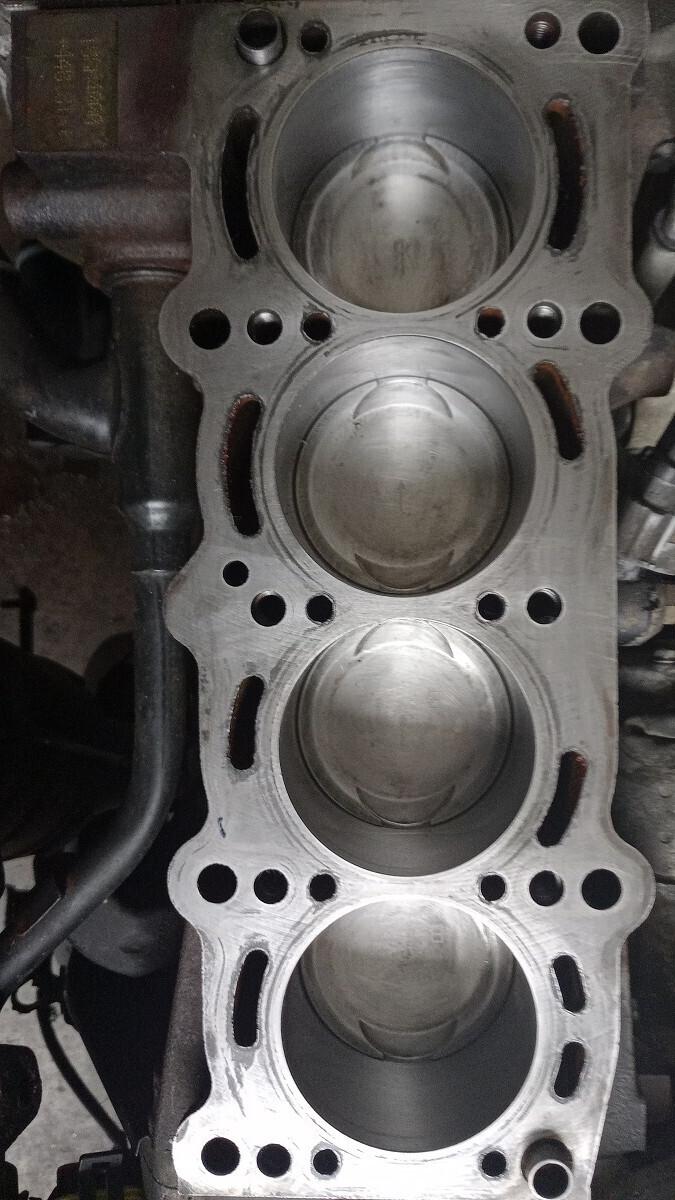 Panda Climbing Natural Power - Motore revisionato