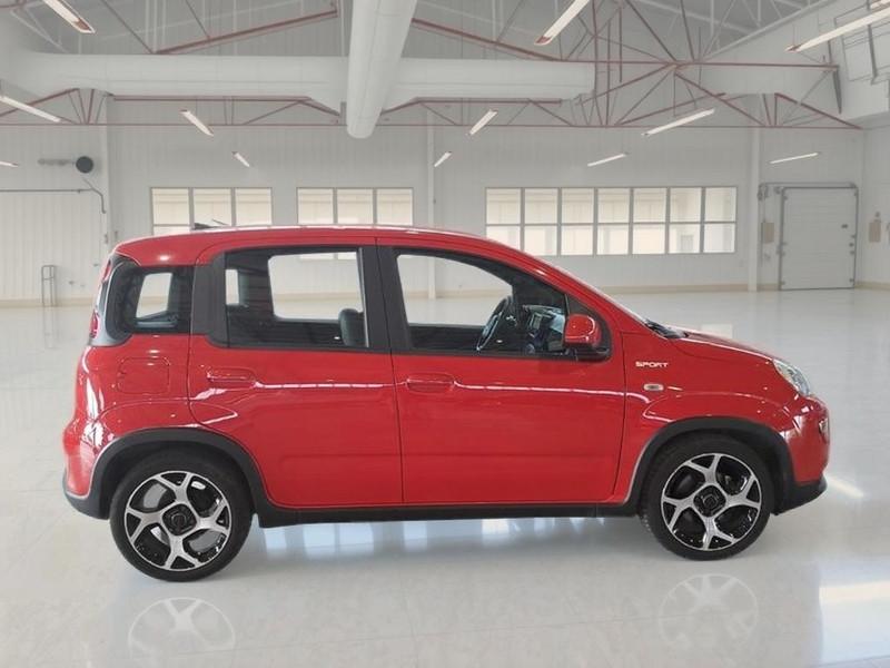 FIAT PANDA 1.0 FireFly 70cv S/S Hybrid Sport 5 PORTE