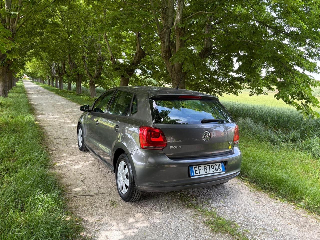 Volkswagen Polo tdi 5 porte