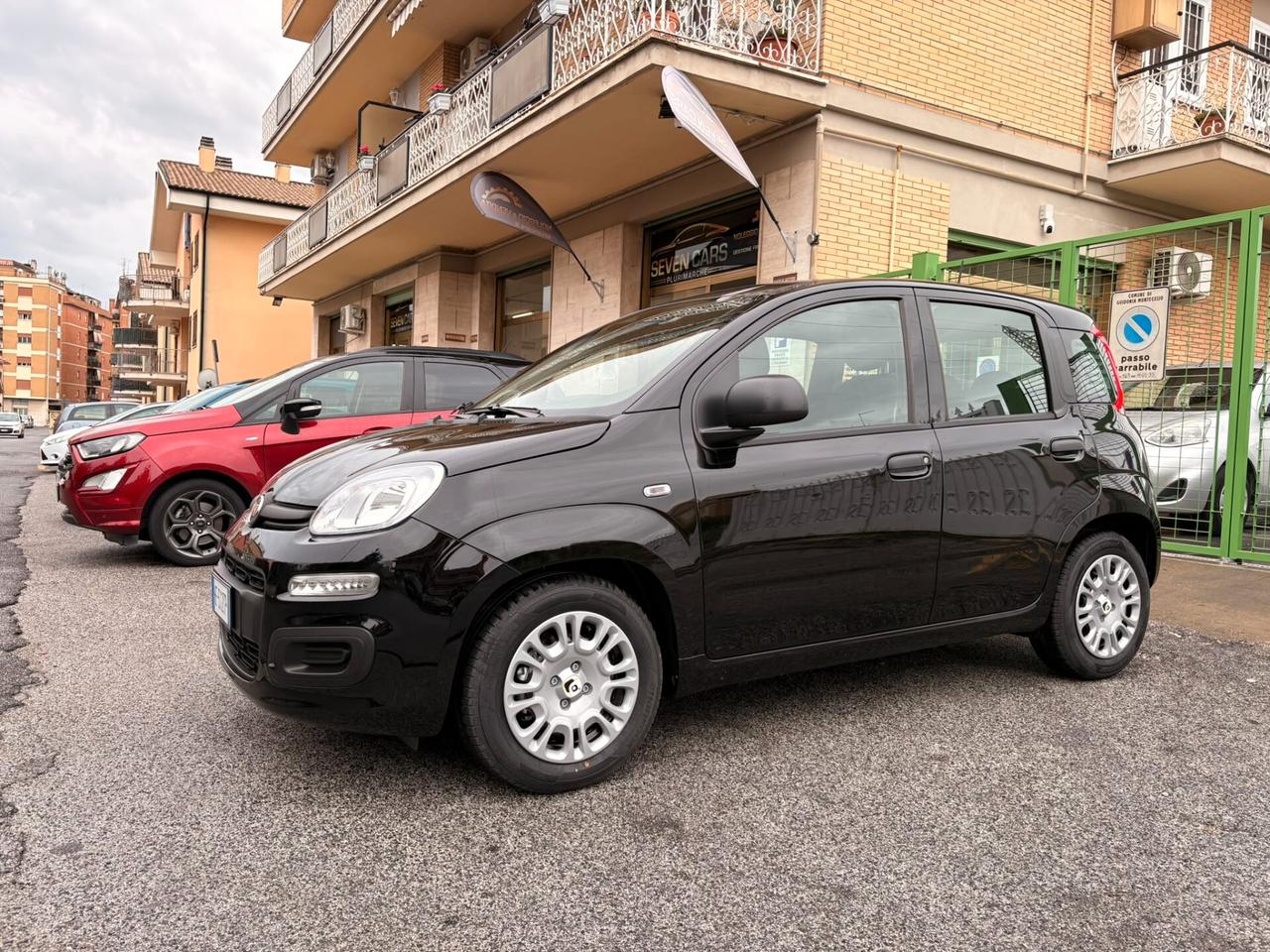 Fiat Panda 1.0 FireFly S&S Hybrid Icon