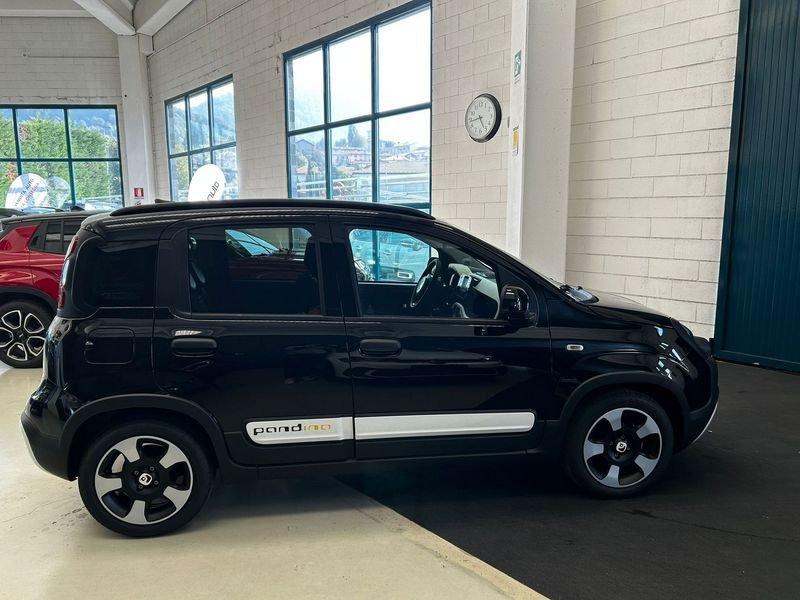 FIAT Panda Panda 1.0 FireFly S&S Hybrid Pandina - PROMO SIRONIAUTO+