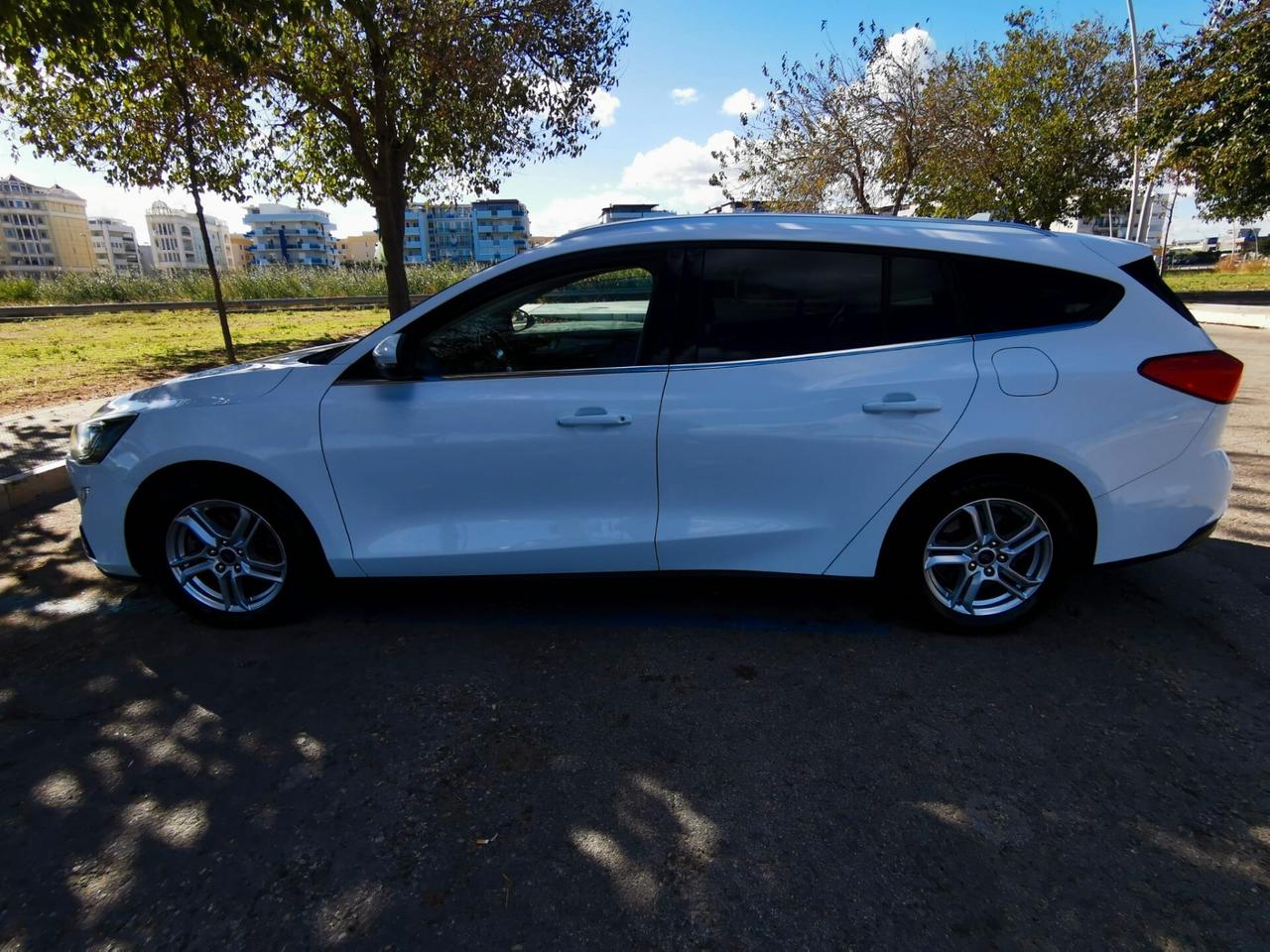 Ford Focus 1.5 EcoBlue 120 CV SW Business 2019