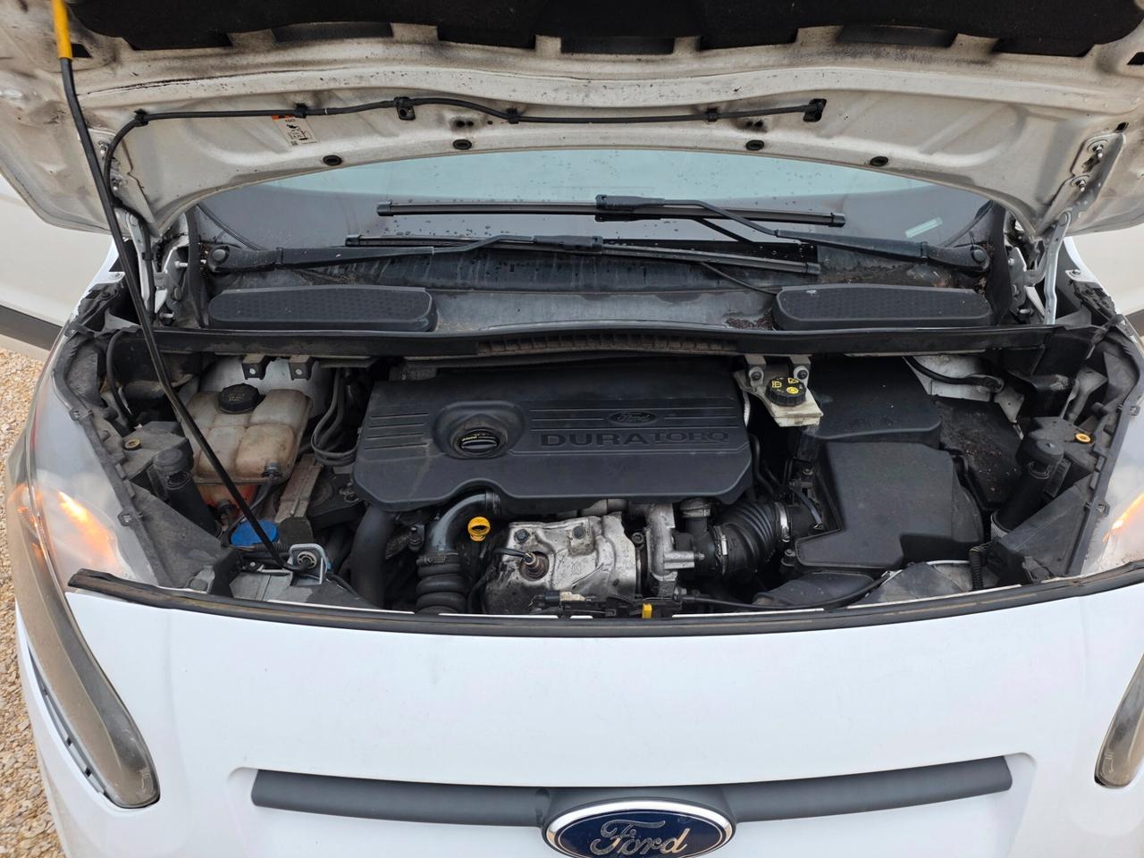 Ford Transit 1.6 diesel 105cv AUTOCARRO