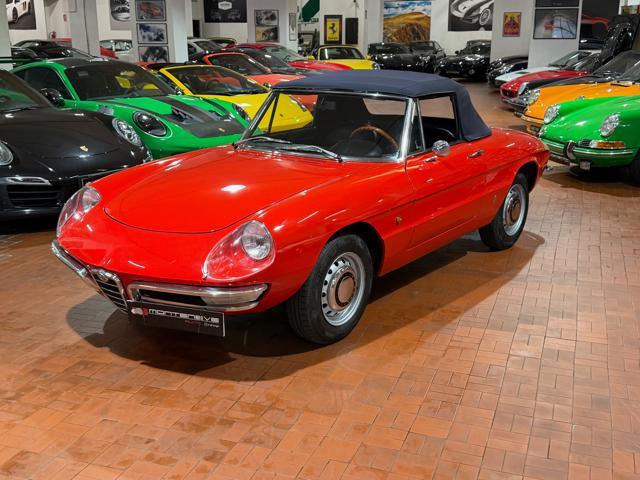 ALFA ROMEO Spider Osso di Seppia 1750 Veloce