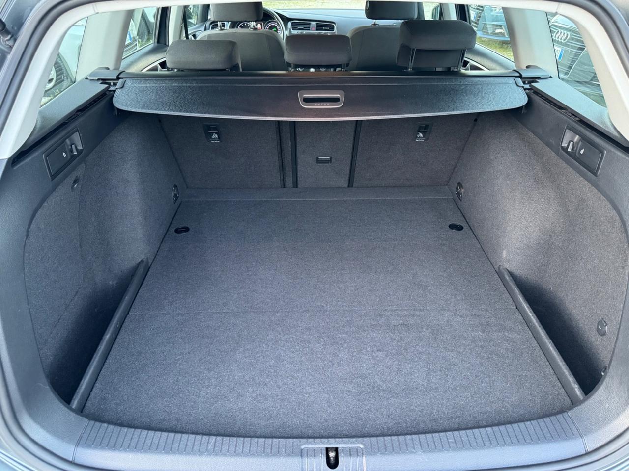 Volkswagen Golf Variant 1.5 TGI 130Cv DSG Business