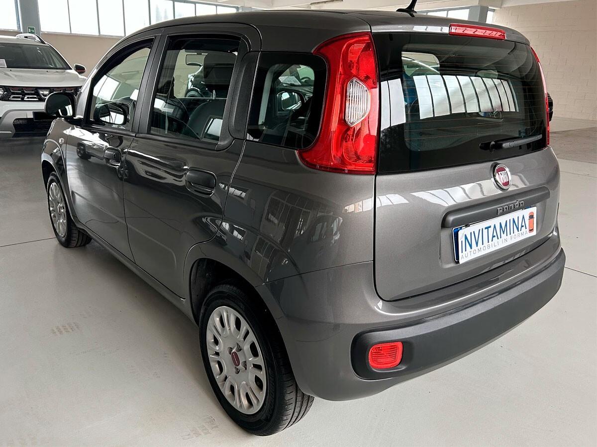 Fiat Panda 1.2 69cv Easy