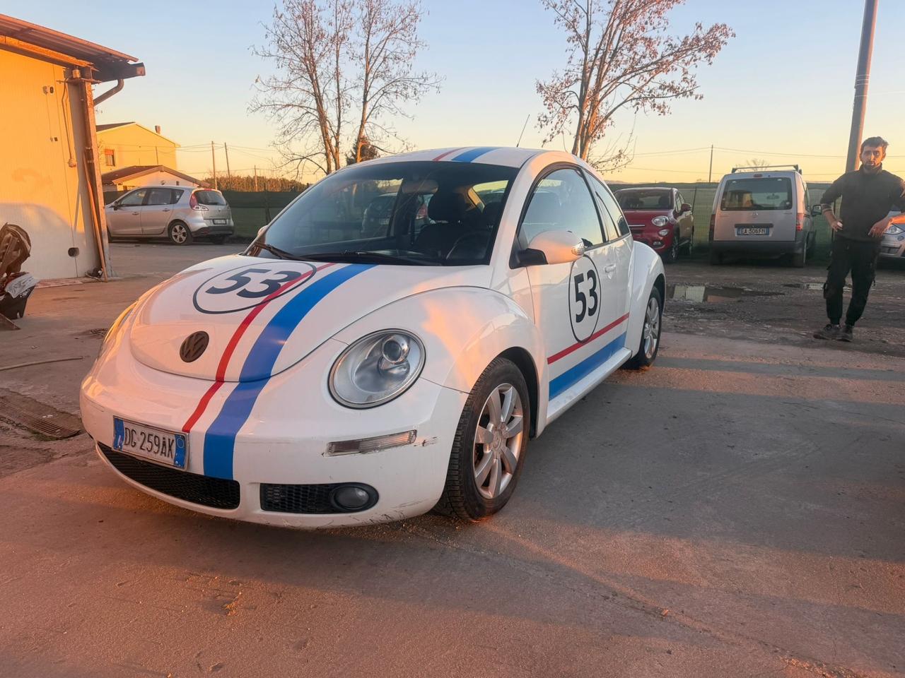 Volkswagen New Beetle 1.9 TDI 105CV