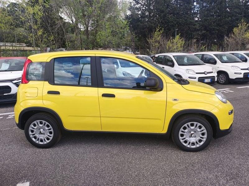 FIAT Panda III 2024 1.0 firefly hybrid s&s 70cv