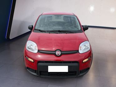 FIAT Panda My24 1.0 70cv Hybrid Panda