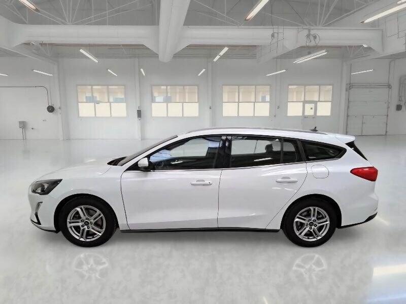 Ford Focus Focus 1.5 EcoBlue 120 CV automatico SW Business Co-Pilot