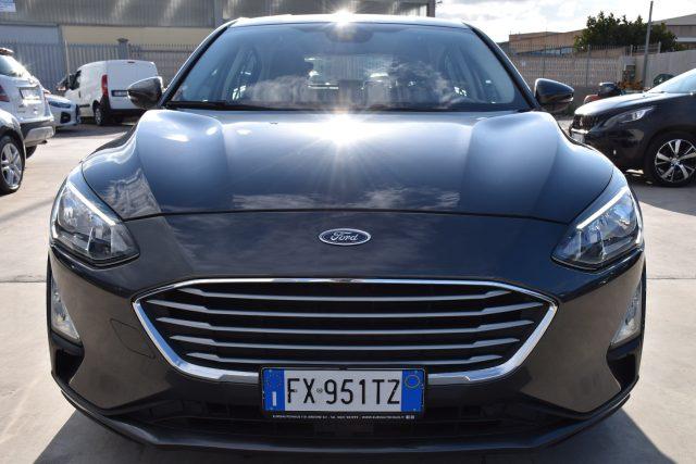 FORD Focus 1.5 EcoBlue 120 CV automatico 5p. Business Co-Pilo