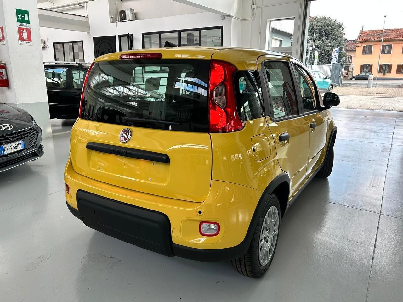 FIAT Panda 3ª serie Panda 1.0 FireFly S&S Hybrid