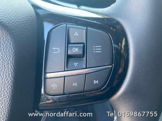 FORD Puma 1.0 EcoBoost Hybrid 125 CV S&S Titanium