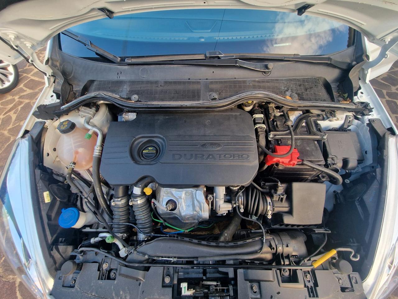 Ford Fiesta 1.5 TDCi 5 porte ST-Line
