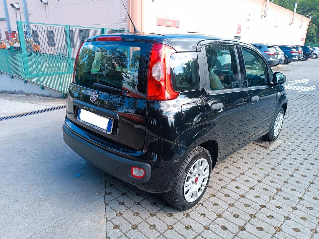 Fiat Panda 1.2 Easy PERFETTA