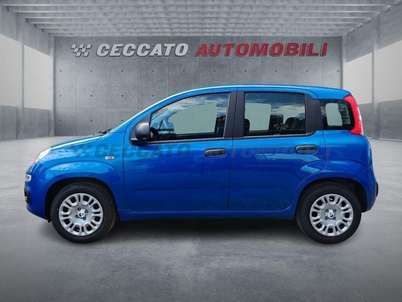FIAT Panda Panda 1.0 70cv Hybrid Icon