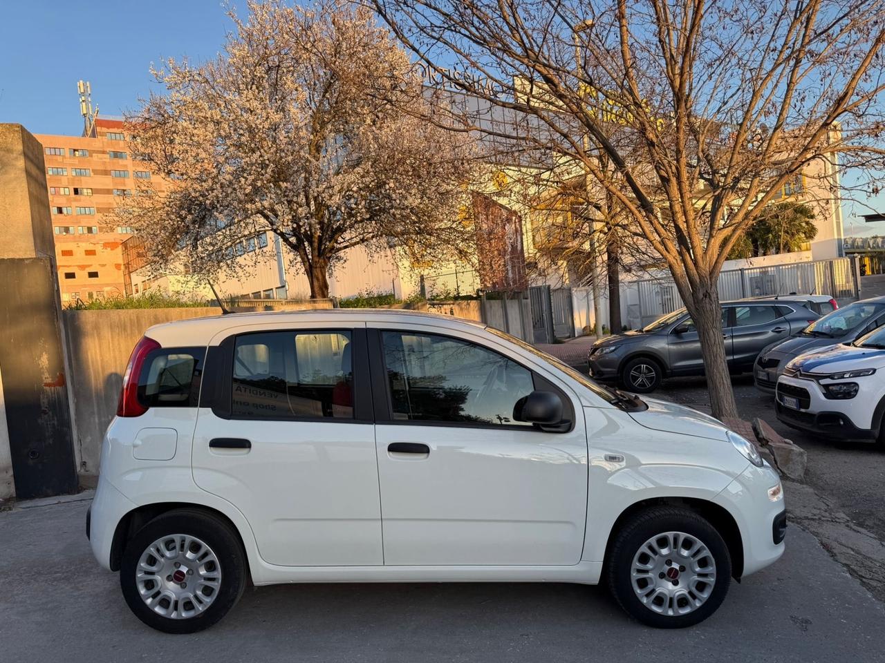 Fiat Panda KM. 34.000 1.2 Easy NEOPATENTATI