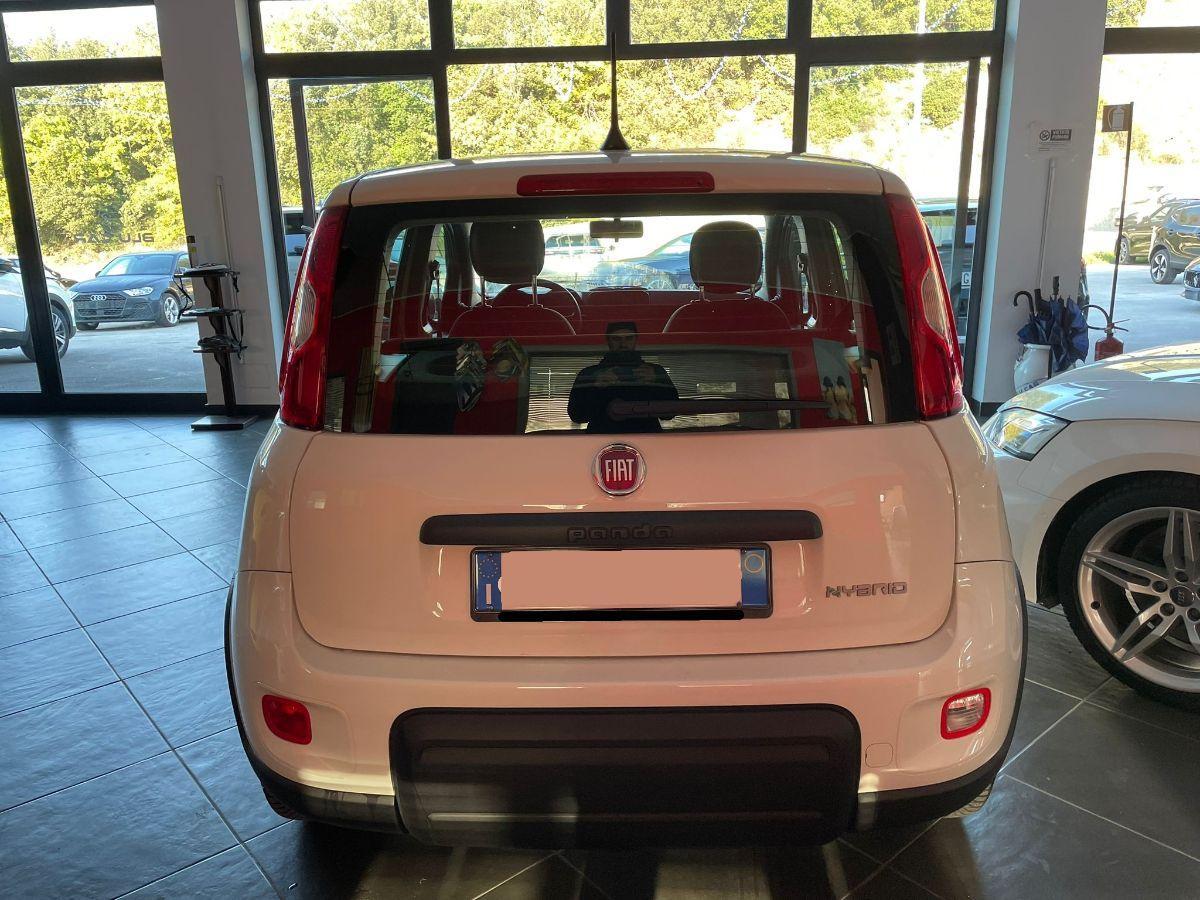 FIAT PANDA 1.0 FIREFLY HYBRID 70CV CITY LIFE