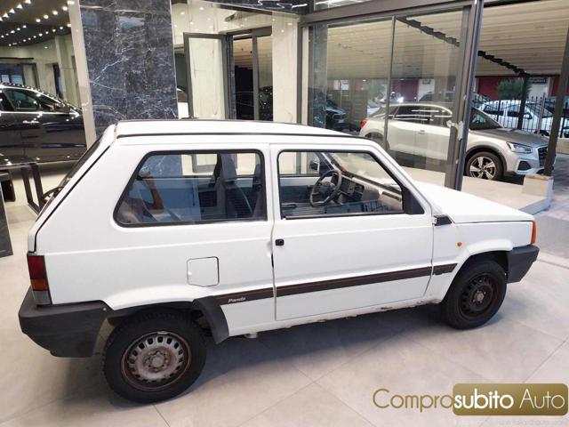 FIAT Panda 1ª serie 1100 i.e. cat College