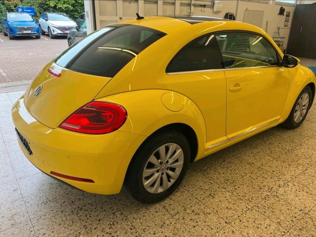 Volkswagen Maggiolino 1.2 TSI Design adatta a neopatentati