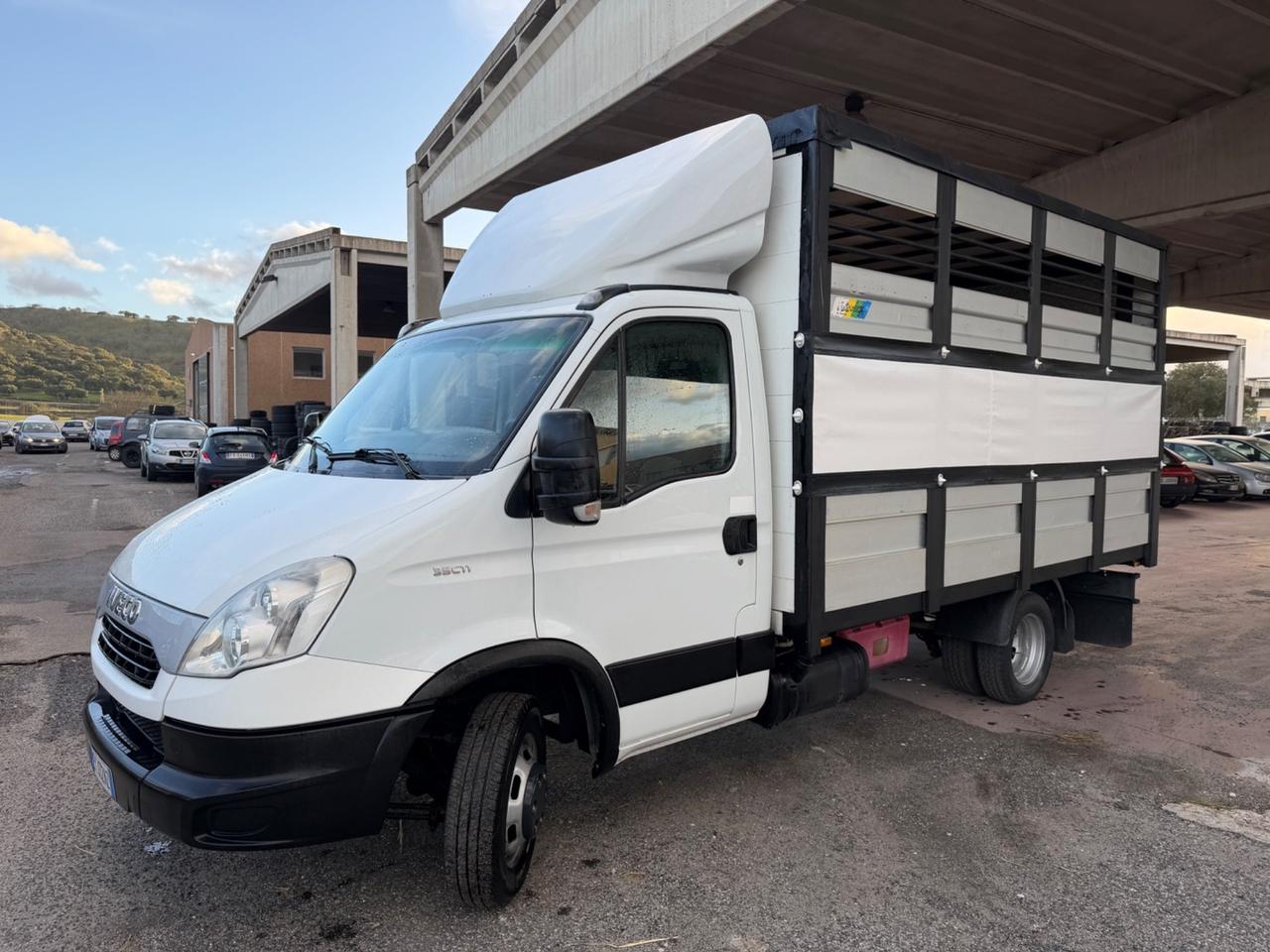 Iveco Daily Trasporto animali vivi patente B 2015