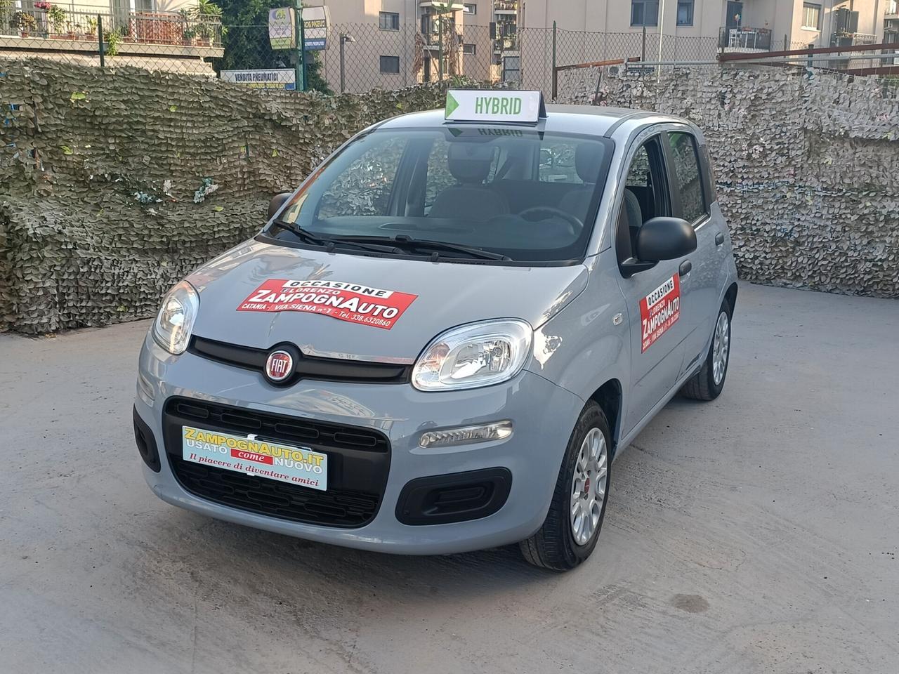 Fiat Panda 1.0 FireFly S&S Hybrid 2021 ZAMPOGNAUTO CT